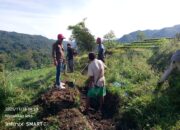 KISAH YADI LADUSING: SULAP LAHAN TERBENGKALAI 20 HA JADI PRODUKTIF DI CAMPAKA