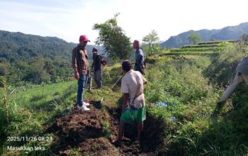KISAH YADI LADUSING: SULAP LAHAN TERBENGKALAI 20 HA JADI PRODUKTIF DI CAMPAKA