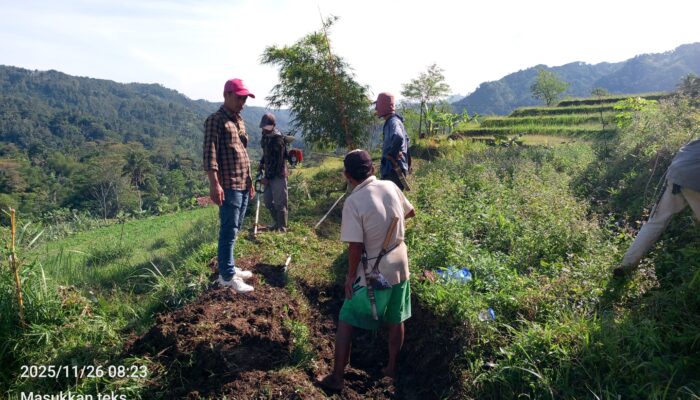 KISAH YADI LADUSING: SULAP LAHAN TERBENGKALAI 20 HA JADI PRODUKTIF DI CAMPAKA