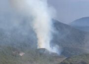 KEBAKARAN MELANDA KAWAH WADON GUNUNG GEDE, 80 RELAWAN KERAHKAN PEMADAMAN