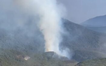 KEBAKARAN MELANDA KAWAH WADON GUNUNG GEDE, 80 RELAWAN KERAHKAN PEMADAMAN