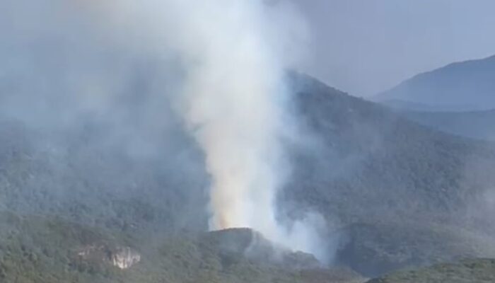 KEBAKARAN MELANDA KAWAH WADON GUNUNG GEDE, 80 RELAWAN KERAHKAN PEMADAMAN